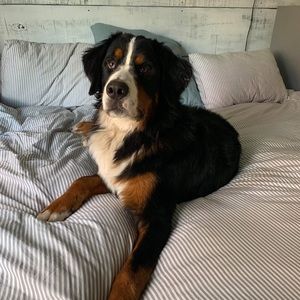 Meet your Posher, Veronique